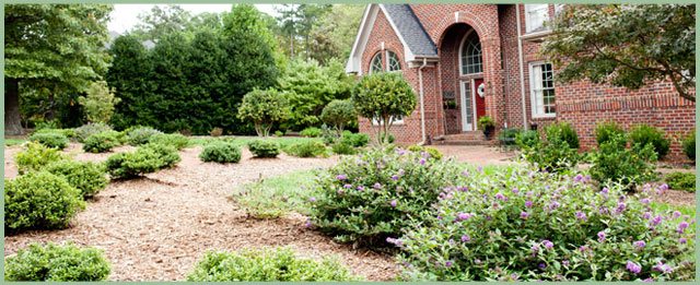 Landscapers in Raleigh NC raleigh landscape top011 About Our Company