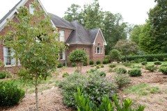 10169411_734446276578512_842308324710551251_n