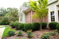 10310542_734446139911859_7869876113874301025_n