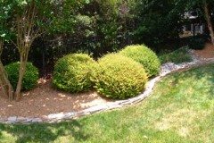 10366023_754269374596202_2060947432480944184_n