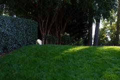 10378075_813559302000542_6930436342132196202_n