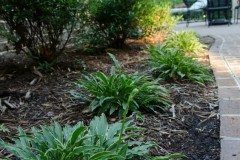 10404092_762852387071234_4630922214881136261_n