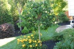 10408651_734445346578605_2909244688666727402_n