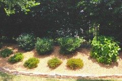 10423896_754269121262894_4007774632751929324_n