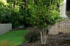 10429860_762852603737879_4571704167598881761_n