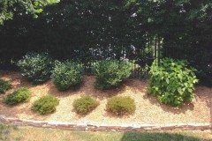 10460496_754269011262905_8176528785379508377_n