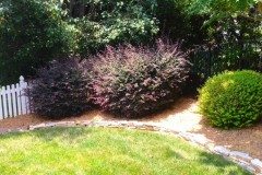 10462562_754269307929542_6120272105126022931_n