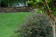 10464270_762852550404551_2010162368007945785_n