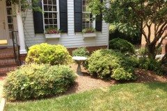 10492602_754268554596284_6639600845521635781_n