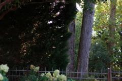 10501671_813559215333884_2242718171450099261_n