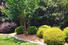 10502009_754269277929545_5764859498143593595_n