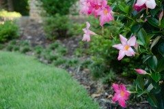 10517706_762852480404558_8151474162261522588_n