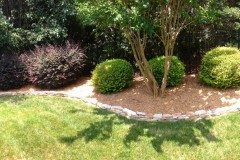 10521337_754269347929538_2285822080144687266_n