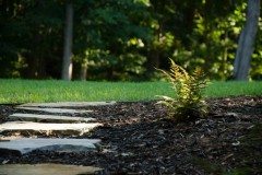 10580057_762852450404561_7026854228578047033_n