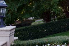 10606360_813559288667210_3799104706429182894_n