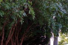 10644660_813559328667206_1212567819174443407_n