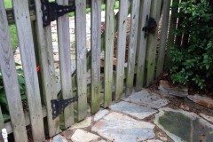 10644817_783113491711790_2549092562243695595_n