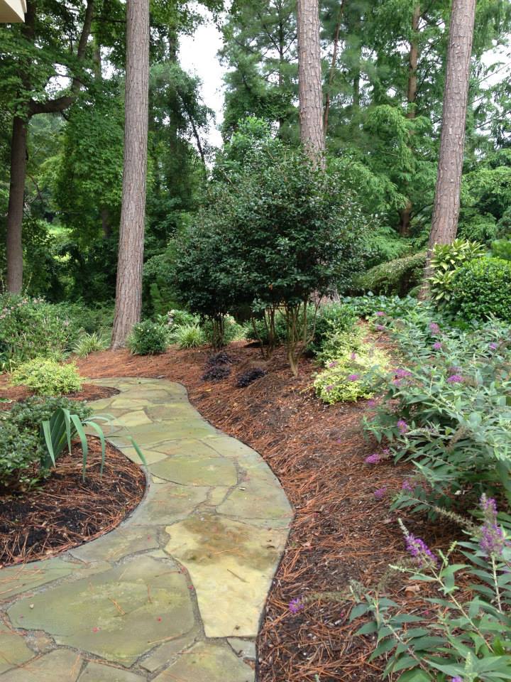 raleigh landscaping designscapes landscape design NC