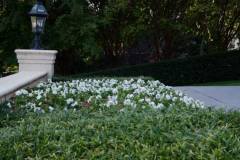 954702_813558818667257_2334715323782407300_n