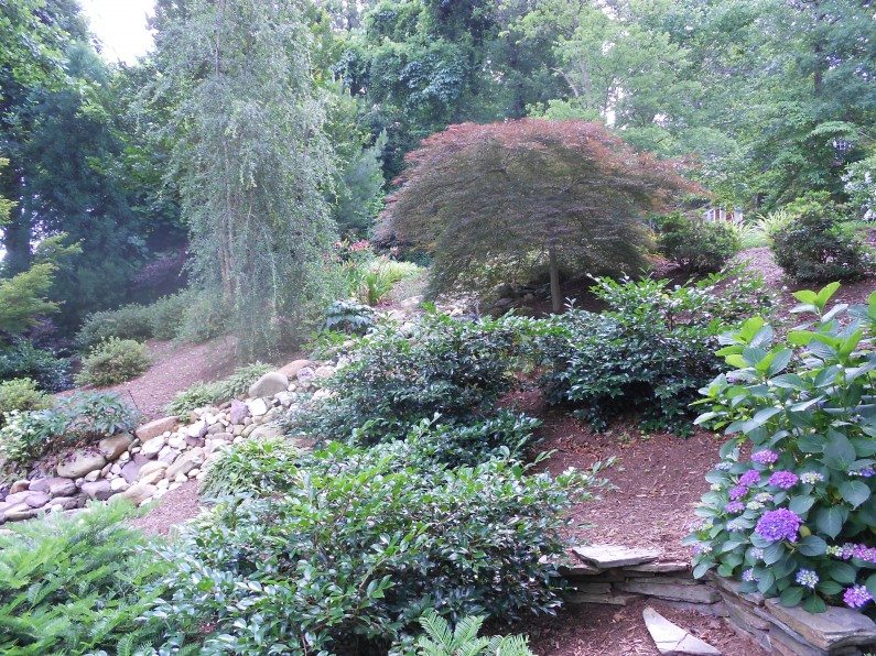 Landscaping Raleigh Landscaping Raleigh, Raleigh Landscaping, Raleigh Landscape