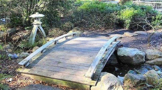 Raleigh Landscaping, Raleigh Landscape Contractors, Raleigh Garden Designers, Perennials, Fall Bloomers. Early Fall Bloomers, Fall Gardening, Japanese Gardens, Moon Bridge, Japanese Lantern