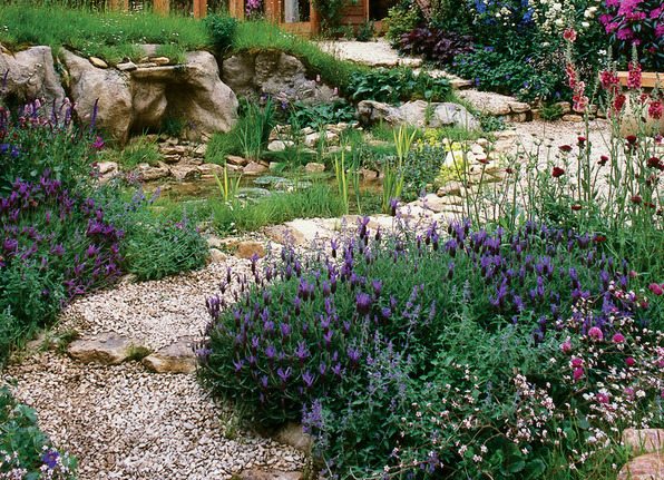 Raleigh Landscaping, Raleigh Landscape Contractors, Raleigh Garden Designers, Garden Design, Raleigh Landscapers, Landscaping, Fragrant Flowers, Water-Wise Gardens, Watering, Sustainable Gardens, Sustainable Landscapes, Sustainability