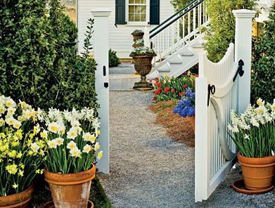 Raleigh Landscape Contractors, Raleigh Landscaping, Raleigh Garden Designers, Garden Design, Container Gardens, Container Gardening