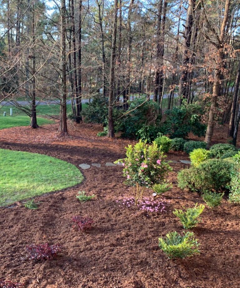 DesignScapes of NC, Ltd. Landscaping Raleigh NC