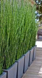 Raleigh Landscape Contractors, Raleigh Landscaping, Raleigh Garden Designers, Garden Design, Container Gardens, Container Gardening