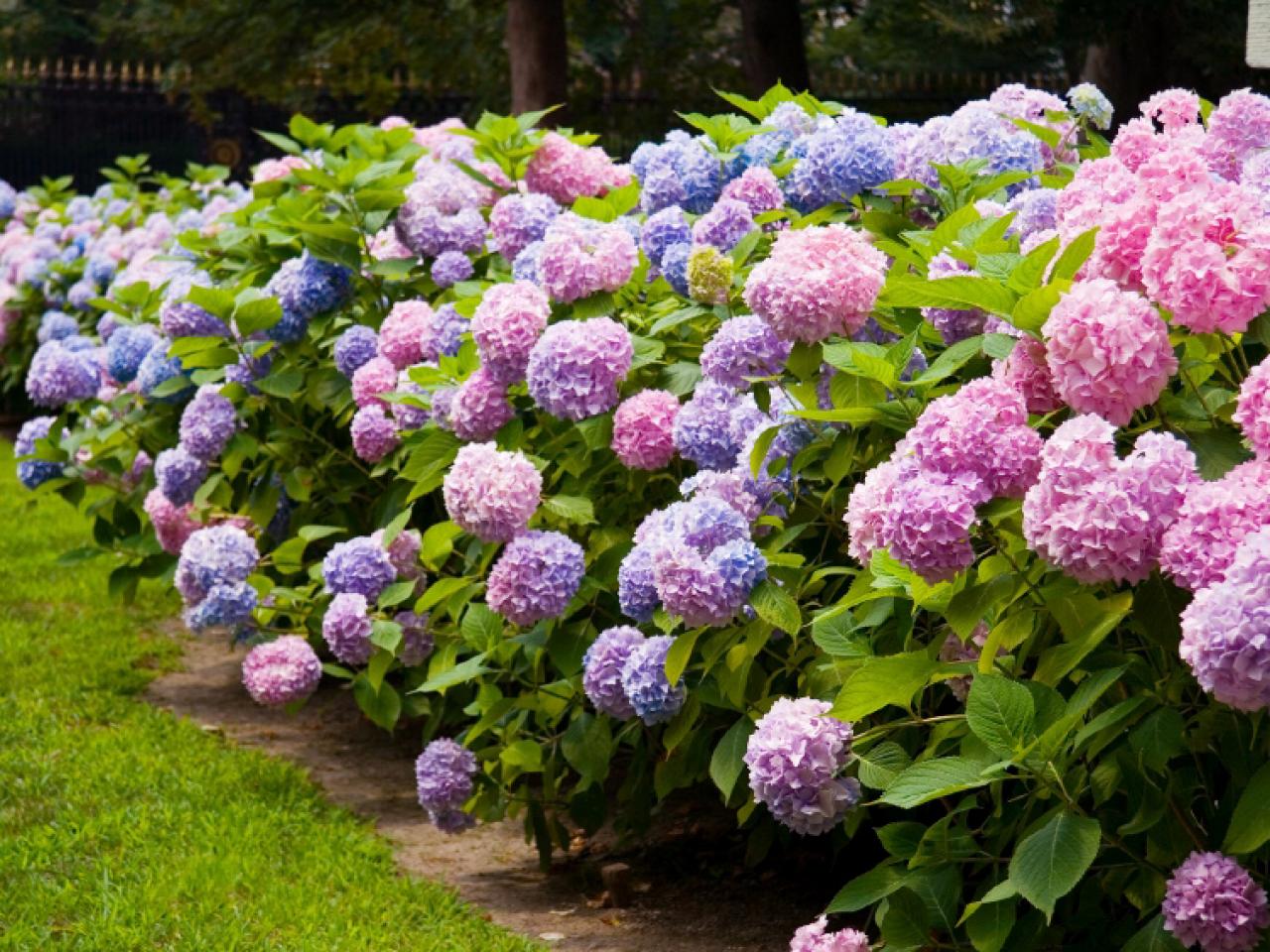 Raleigh Landscaping, Raleigh Landscaping Contractors, Garden Design