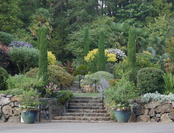 Mediterranean garden