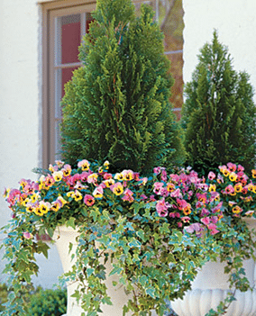 Raleigh Landscape Contractors, Raleigh Landscaping, Raleigh Garden Designers, Garden Design, Container Gardens, Container Gardening