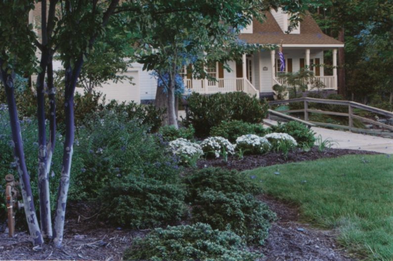 NC, Raleigh NC, Raleigh landscape, Raleigh landscaping, landscaping Raleigh, DesignScapes, landscape Raleigh, Landscapers Raleigh, Raleigh landscapers, landscaping Raleigh NC, landscapers Raleigh NC, Raleigh landscape design, landscape design Raleigh NC, landscape Raleigh NC, landscaper Raleigh NC, landscaping companies Raleigh NC, landscape design Raleigh, landscaping in Raleigh NC, landscaping companies in Raleigh NC