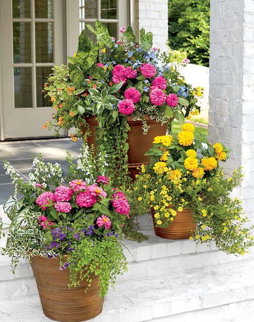 Container Garden Design Tips For Arranging Plants In Pots